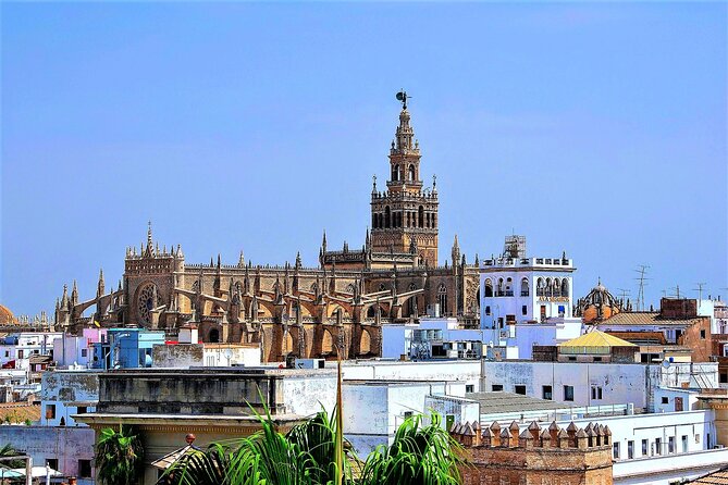 Private Trip to Seville From Costa Del Sol - Tips for a Successful Tour