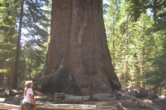 Private Western National Parks Tour Review - Cost and Booking Details