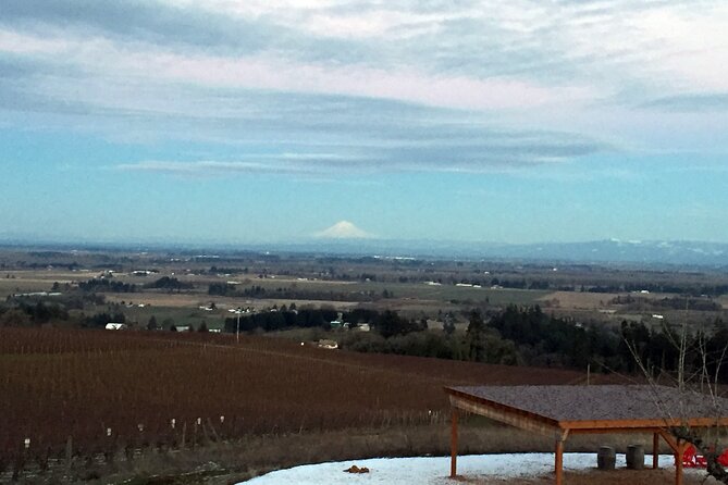 Private Willamette Valley Character Winery Tour - Tips for a Memorable Winery Tour