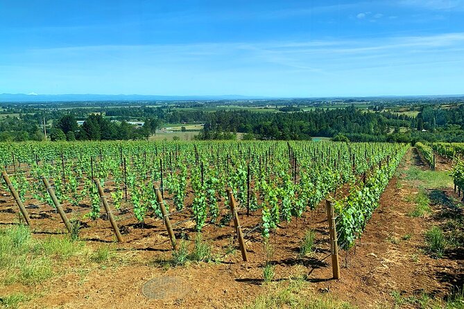 Private Wine Excursion Willamette Valley, Oregon - Wine Tour - Reviews and Ratings