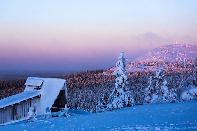 Pyhä-Luosto National Park and Amethyst Mine by Car From Inari-Saariselkä - Booking and Pricing Information