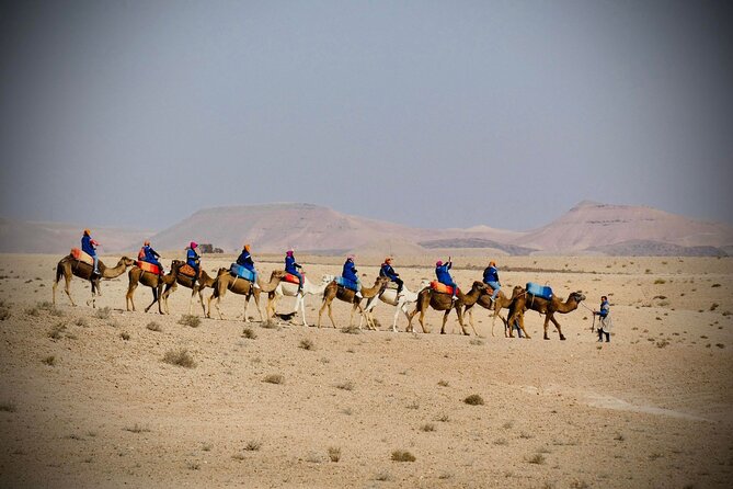 Quad Bike Experience at the Palmeraie Marrakesh - Booking Process and Policies