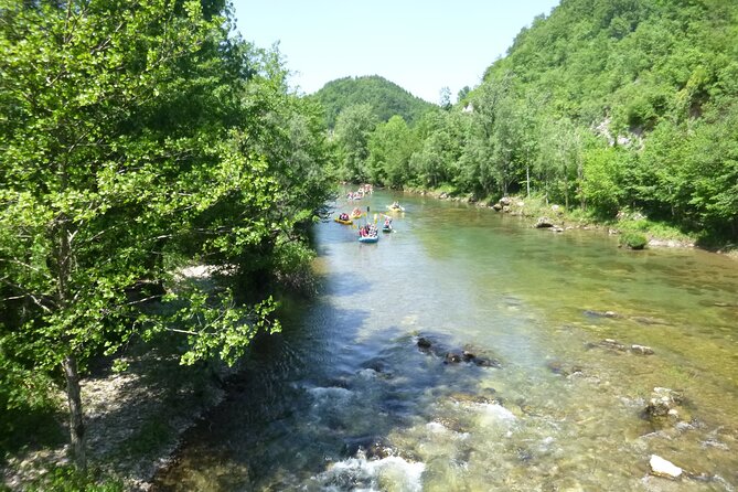 Rafting and Kayaking Adventure in River Kupa - Kayaking Adventure Insights