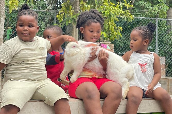 Rastafari Cultural Experience With Herb Garden & Animal Farm Tour - Flexible Booking and Rescheduling