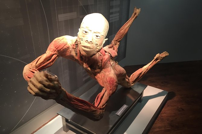Real Bodies at Horseshoe Las Vegas - Educational and Intriguing Experiences