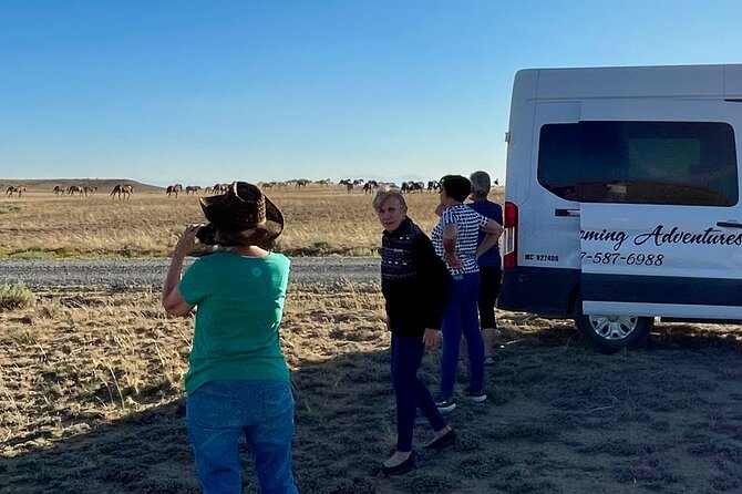 Red Canyon Small Group Wild Mustang Van Tours in Cody Wyoming - Traveler Feedback and Ratings