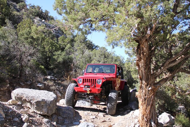 Red Rock Canyon Half Day Jeep Tour Review - Offroading Experience