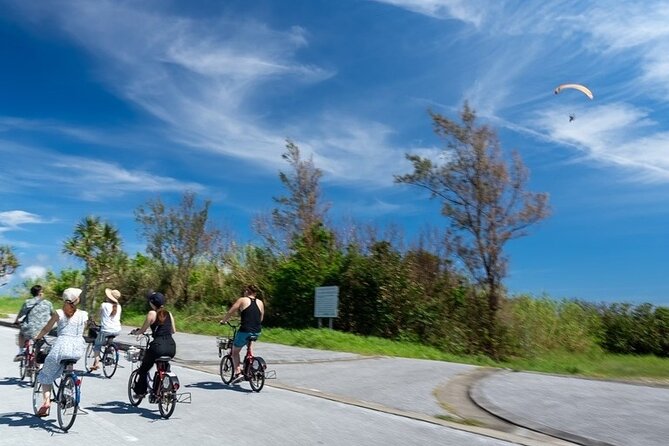 Remote Island Ryukyu Culture Experience Tour in Okinawa - Island Exploration and Activities