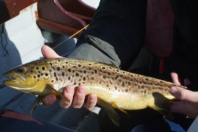 River Fishing for Wild Trout. Connemara. French Speaking Ghillie - Ask Away