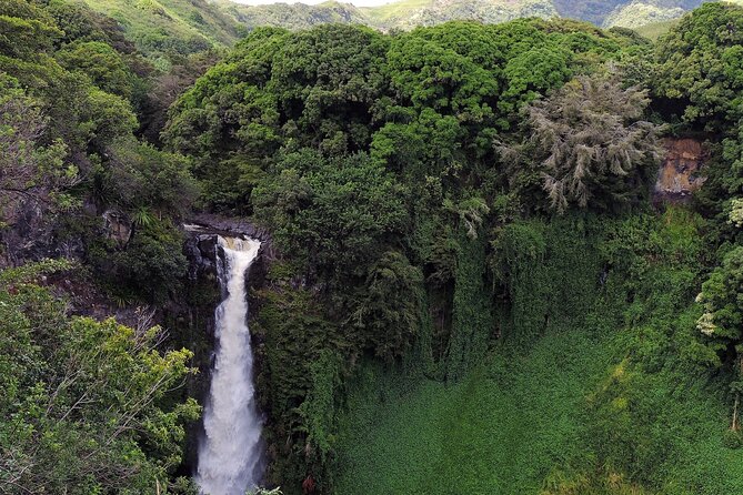 Road to Hana Full Day Tour Review - Positive Feedback and Recommendations