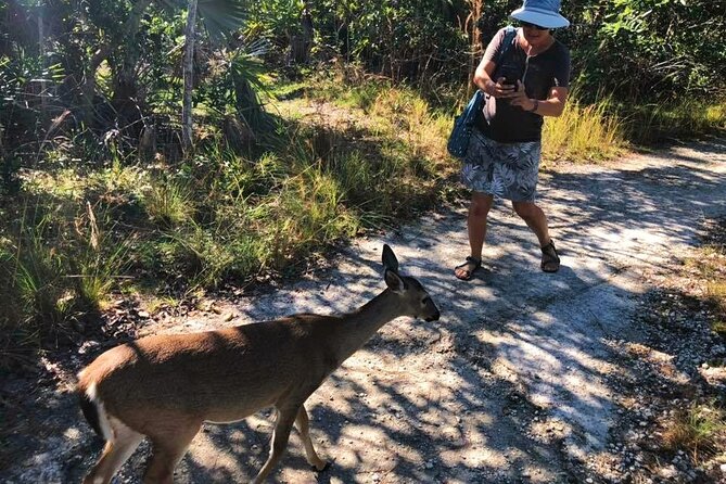 Road Trip Through the Lower Keys Audio Tour - Dining and Refreshment Options