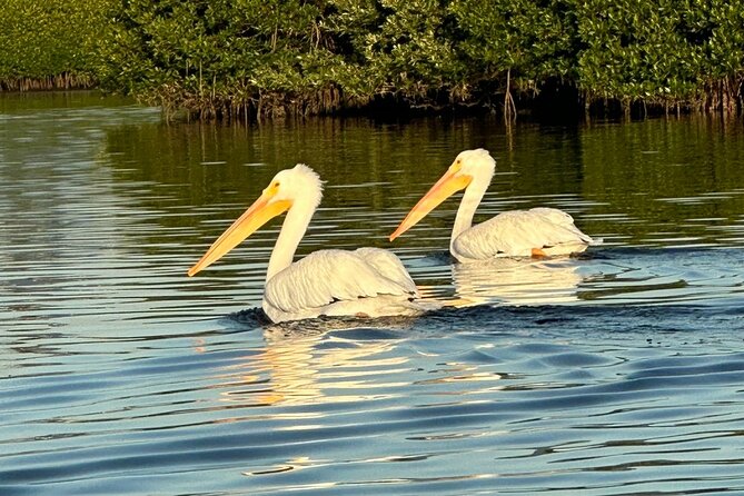 Robinson Preserve Nature Walk Eco Tour - Booking Your Experience