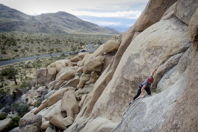 Rock Climbing Trips in Joshua Tree National Park (4 Hours) - Traveler Experiences and Feedback