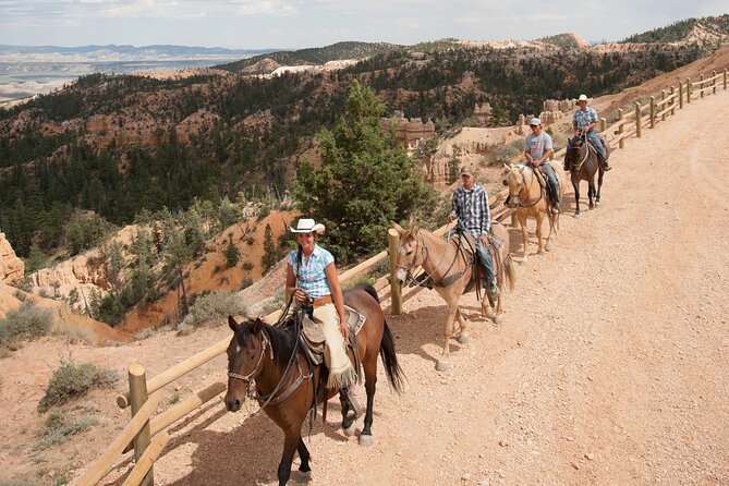Rubys Horseback Adventures Utah 1.5 Hour Ride - Customer Reviews and Feedback