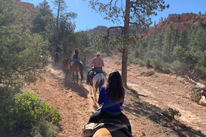 Rubys Horseback Adventures Utah Half Day Ride - Scenic Views and Knowledgeable Guides
