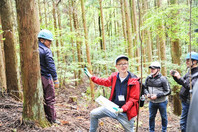 Rural Forestry Tour in Aso Minamioguni - Forest Ecosystem Exploration