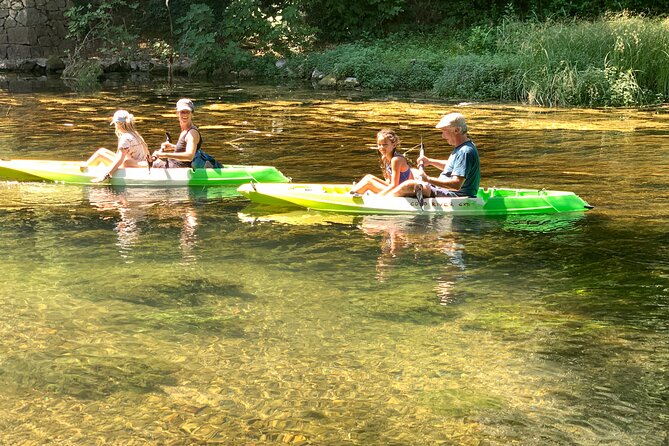 Safari Kayak Adventure W BBQ & Beer - Guest Experiences