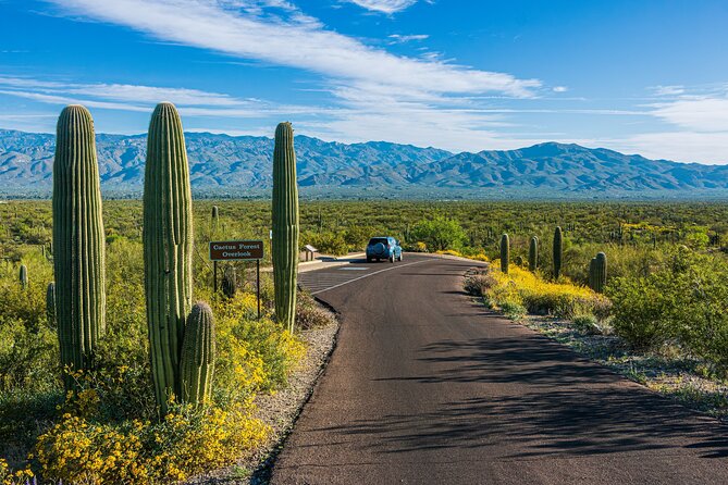 Saguaro National Park Audio Tour Review - Opening Hours and Cancellation Policy