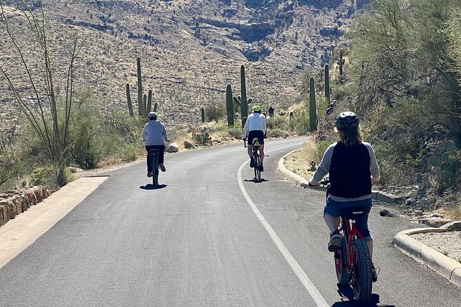 Saguaro National Park East E-Bike Tour - Customer Feedback and Ratings