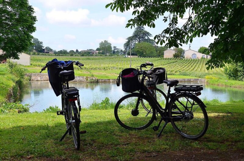 Saint-Émilion E-Bike Tour: Lunch, 2 Tastings & Transfers - Restrictions and Requirements