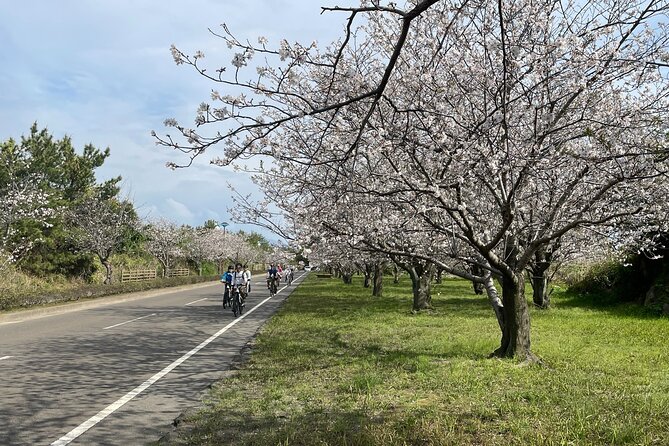Sakurajima One Day Round Journey E-bike Tour - Confirmation and Payment Options