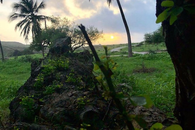 Salalah Mountain Safari Tour 2(Full Day Tour) - Traveler Reviews
