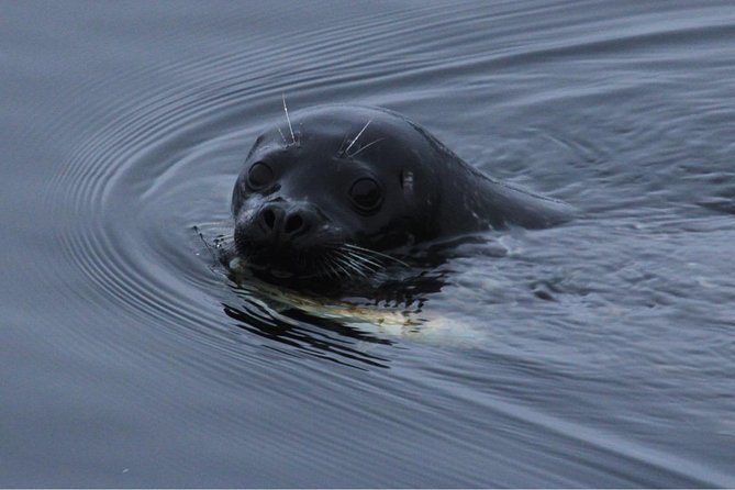 Saltwater Expedition Sightseeing & Wildlife Review - Pricing and Duration