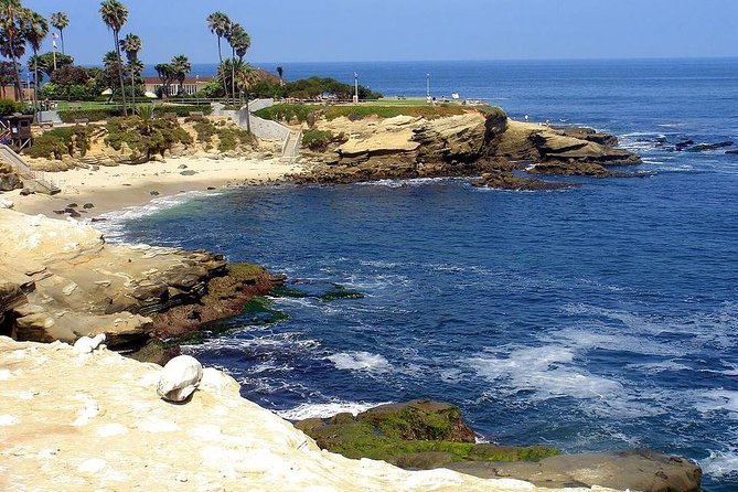 San Diego Life at the Beach Tour Review - Tour Reviews and Ratings