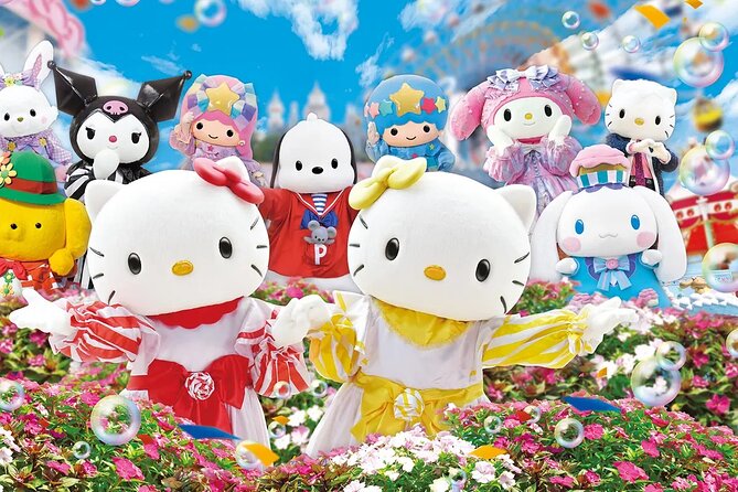Sanrio Harmonyland Ticket in Fujiwara - Confirmation and Re-Entry