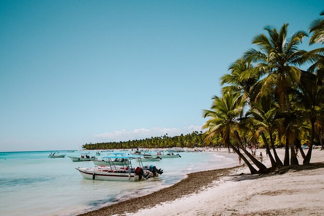 Saona Island Day Trip From Punta Cana With Pick up and Open Bar - Tips for a Great Experience