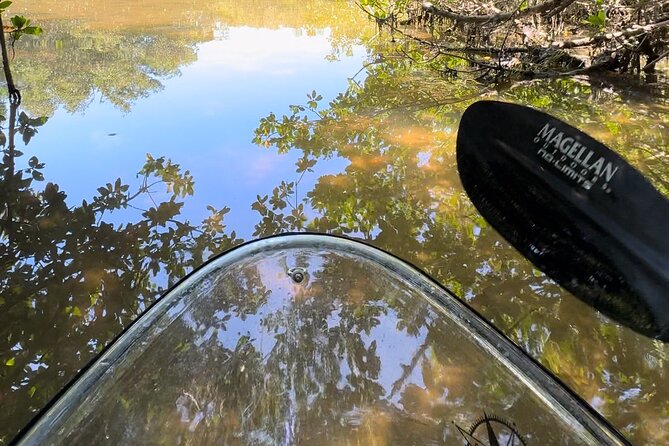 Sarasota Clear Kayak Tour - Tips for an Enjoyable Experience