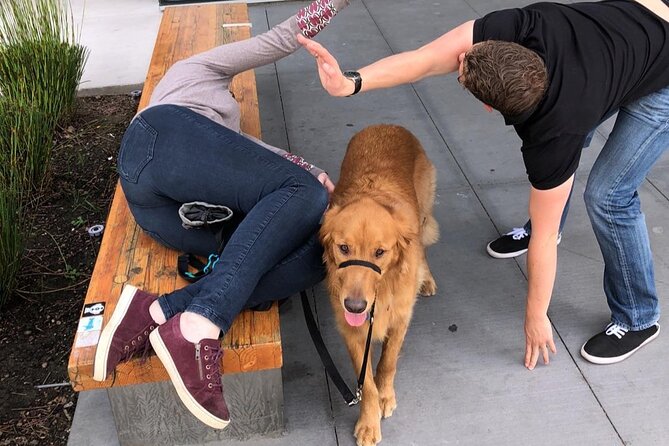 Scavenger Hunt Adventure in Baltimore by Operation City Quest - Participant Requirements