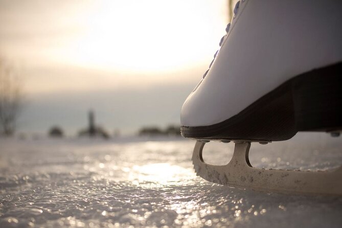Scenic Anchorage Ice Skating and Picnic Experience - What to Expect on the Day