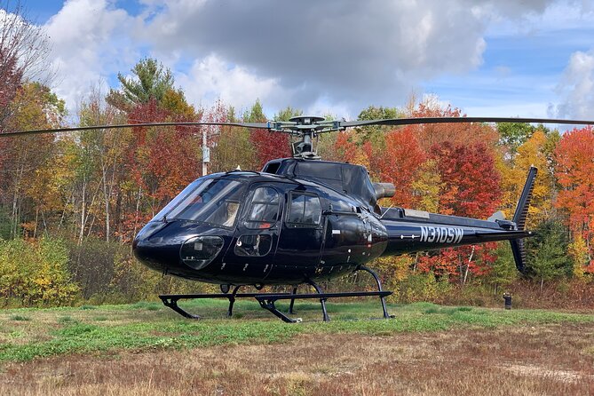 Scenic Lakeside Proposal Helicopter Review - Reviewing the Scenic Lakeside Helicopter Tour