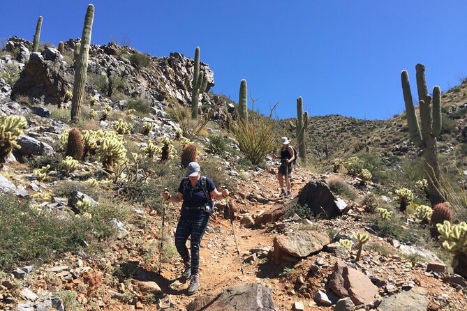 Scottsdale Desert Classic Guided Hiking Adventure - Exploring the Sonoran Desert