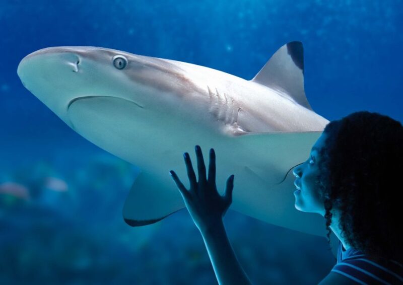SEA LIFE Paris: Admission Ticket - Educational Talks and Animations