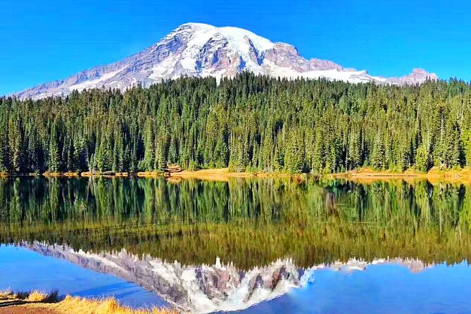 Seattle Amtrak Coast Starlight Redwood 7 Day Tour From SF - Cancellation Policies