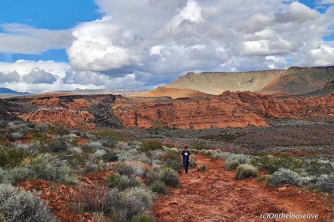 Secret Petroglyphs Hike Adventure - What to Bring and Prepare