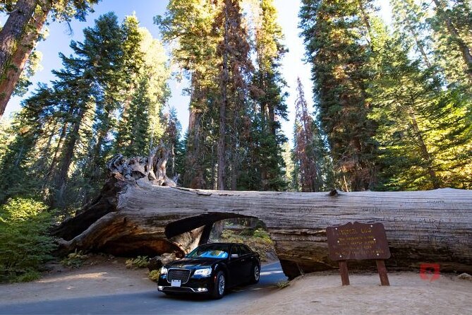 Self-Guided Audio Driving Tour in Sequoia and Kings Canyon - Discovering Kings Canyon National Park