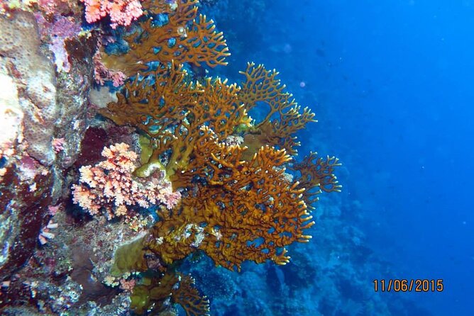 Semi-Submarine Underwater Tour From Hurghada - Booking Your Tour