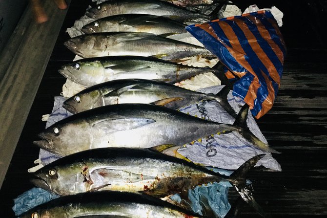 Seychelles Big Game Fishing - Experience Highlights
