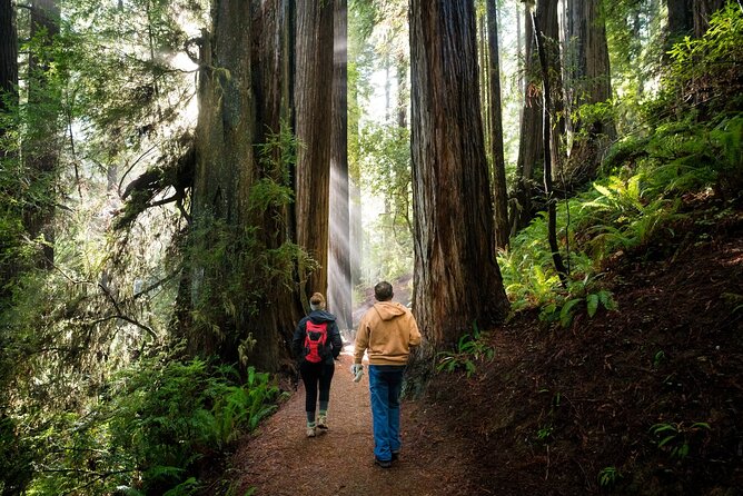 Shaka Guide: Redwood National Park Audio Tour Review - Accessibility and Convenience