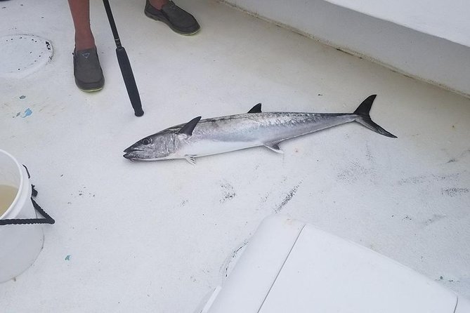 Shared Deep Sea Fishing Trip - Customer Feedback and Experiences