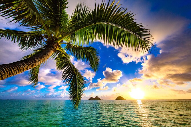 Shared Departure Transfer: Hotel to Maui Kahului Airport - Flexibility and Accessibility