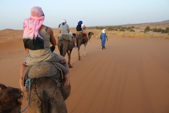 Shared Excursion From Marrakech to Agafay Desert With Dinner and Camel Ride - Additional Tour Details
