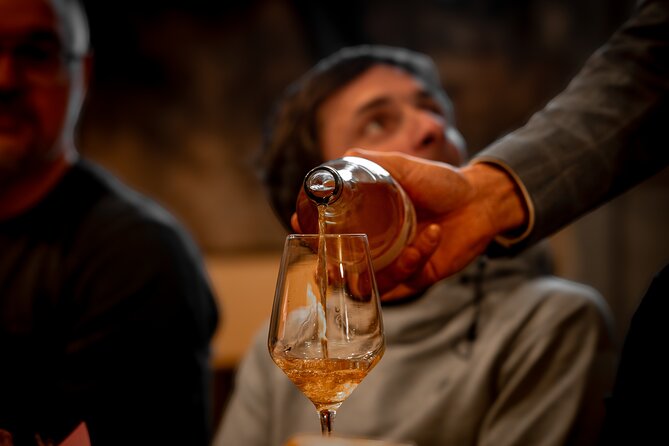 Shared or Small Group Wine Tasting Experience in Slovenia - Pricing and Cancellation Policy