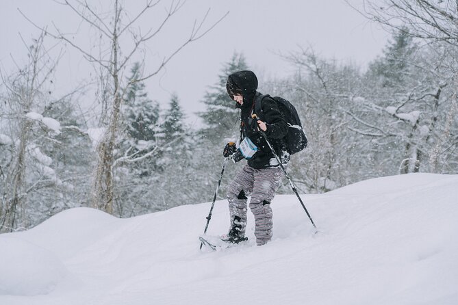 Shared Snowshoe Hiking Tour in Semboku - Exploring the Winter Landscape
