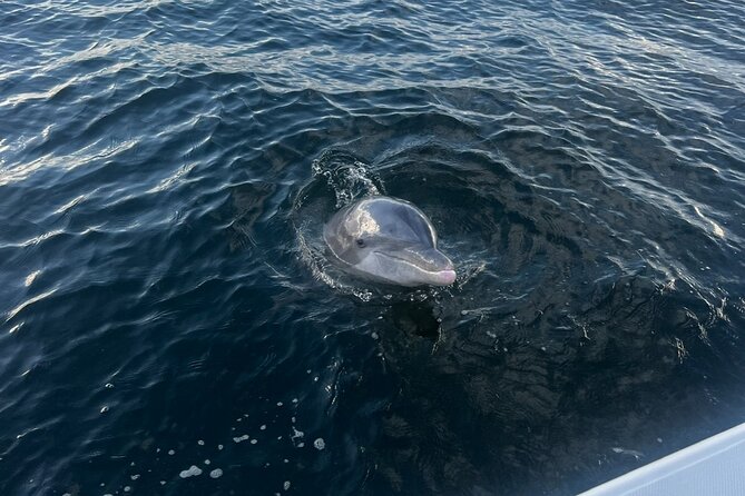 Shell Island Dolphin Sightseeing Boat Tour - Captains and Crew