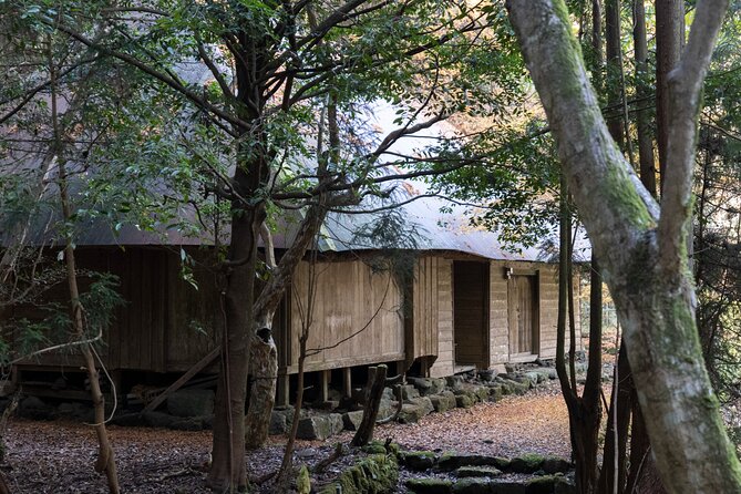 Shinrinyoku Explore the Historic Sites of Shugendo Culture - Historic Sites and Spiritual Landscapes