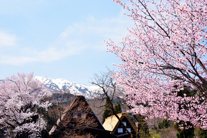 Shirakawa-Go From Takayama/Nagoya One Day Bus Ticket - Lunch and Guide